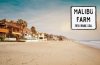 MALIBU FARM,マリブファーム