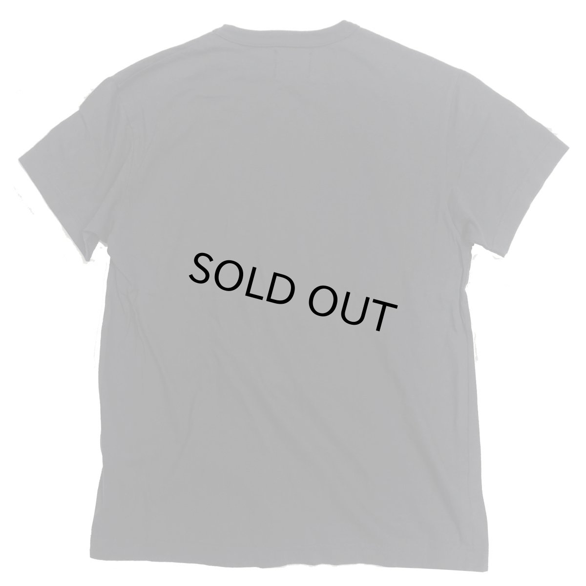 画像2: TAILGATE テイルゲート SRIRACHA TEE DARK STORM メンズ/レディース (2)