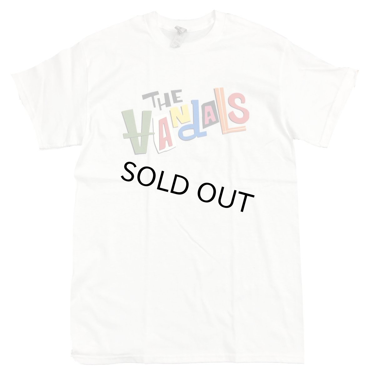 画像1: THE VANDALS ヴァンダルズ TEE WHITE メンズ/レディース (1)