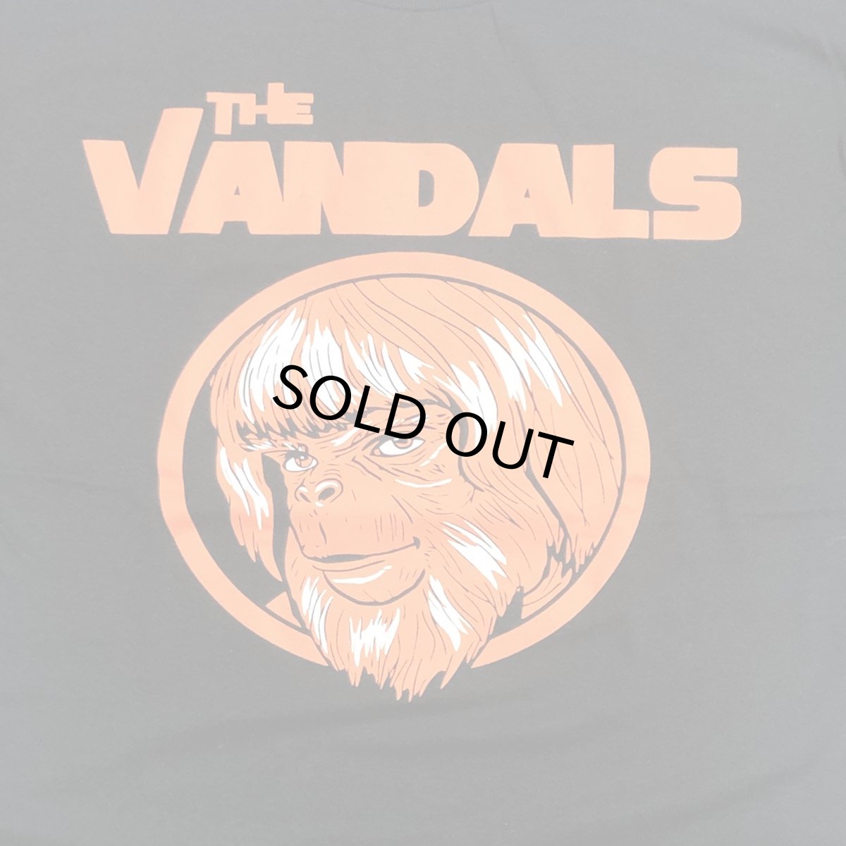 画像3: THE VANDALS ヴァンダルズ TEE BLACK メンズ/レディース (3)