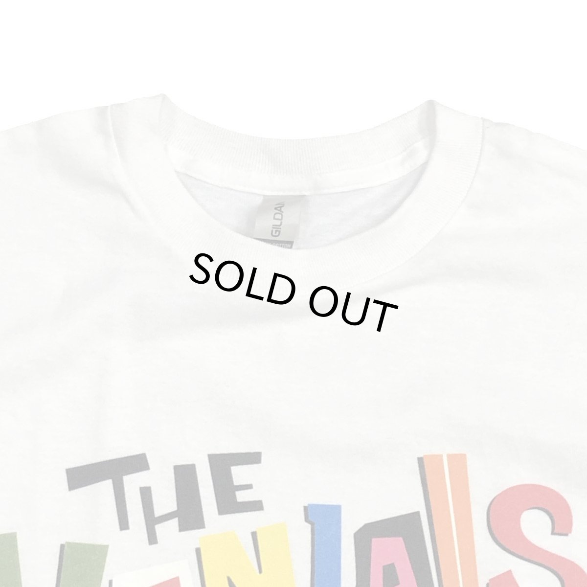 画像2: THE VANDALS ヴァンダルズ TEE WHITE メンズ/レディース (2)