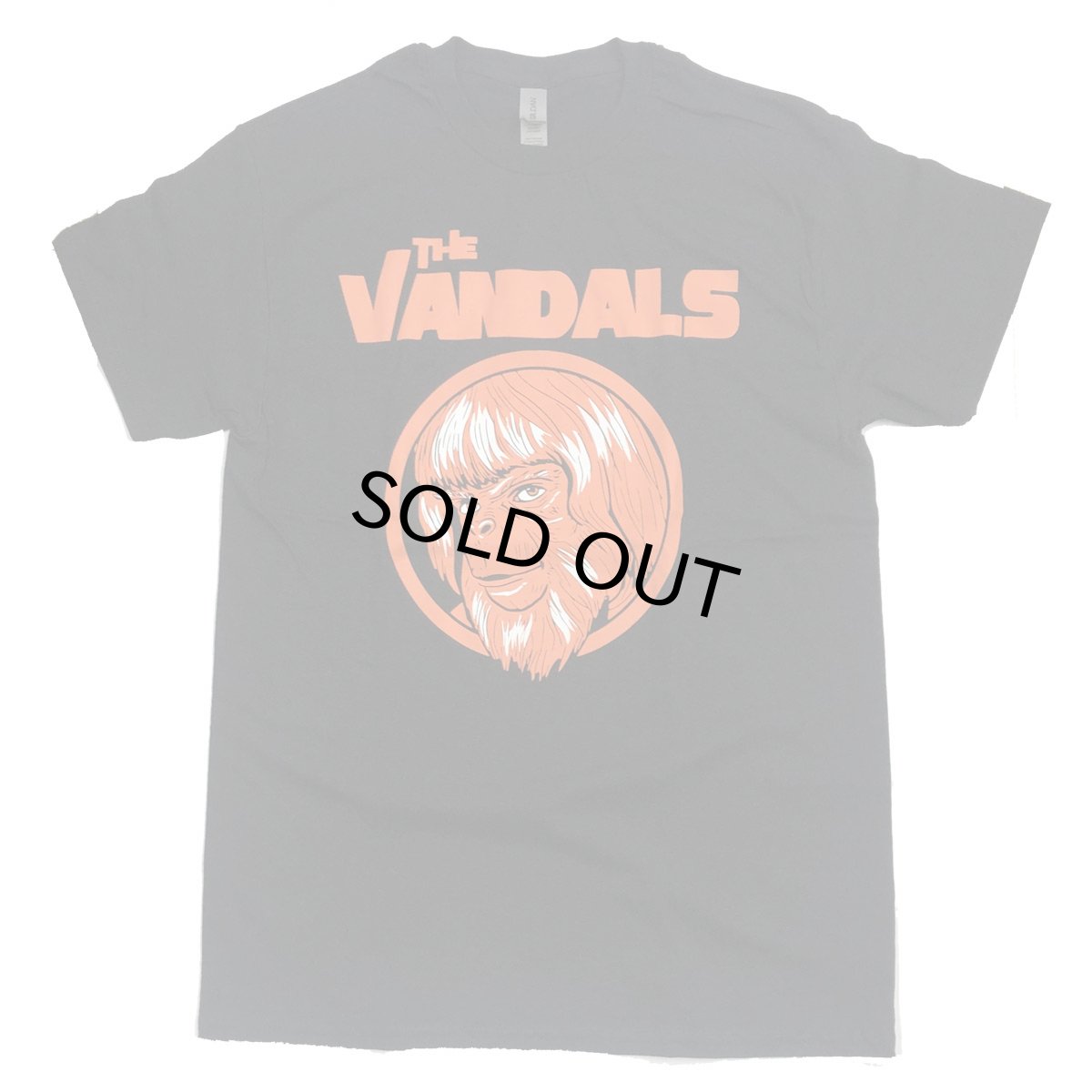 画像1: THE VANDALS ヴァンダルズ TEE BLACK メンズ/レディース (1)