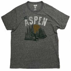 画像1: TAILGATE テイルゲート SKI  ASPEN Tシャツ GREY HEATHERメンズ/レディース (1)