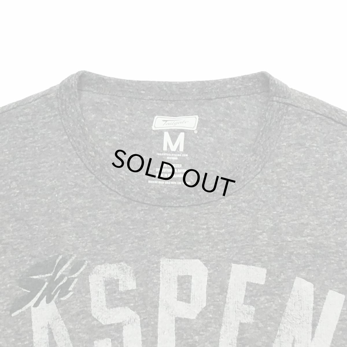 画像2: TAILGATE テイルゲート SKI  ASPEN Tシャツ GREY HEATHERメンズ/レディース (2)