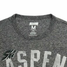 画像2: TAILGATE テイルゲート SKI  ASPEN Tシャツ GREY HEATHERメンズ/レディース (2)