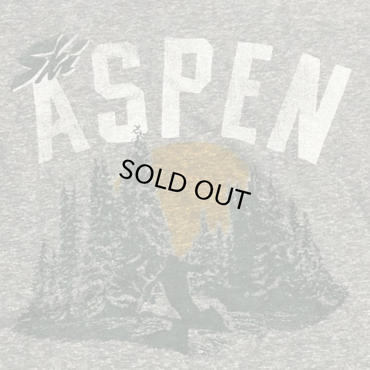 画像3: TAILGATE テイルゲート SKI  ASPEN Tシャツ GREY HEATHERメンズ/レディース (3)