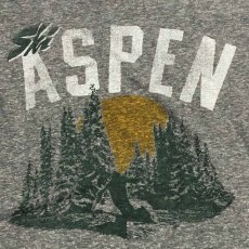 画像3: TAILGATE テイルゲート SKI  ASPEN Tシャツ GREY HEATHERメンズ/レディース (3)