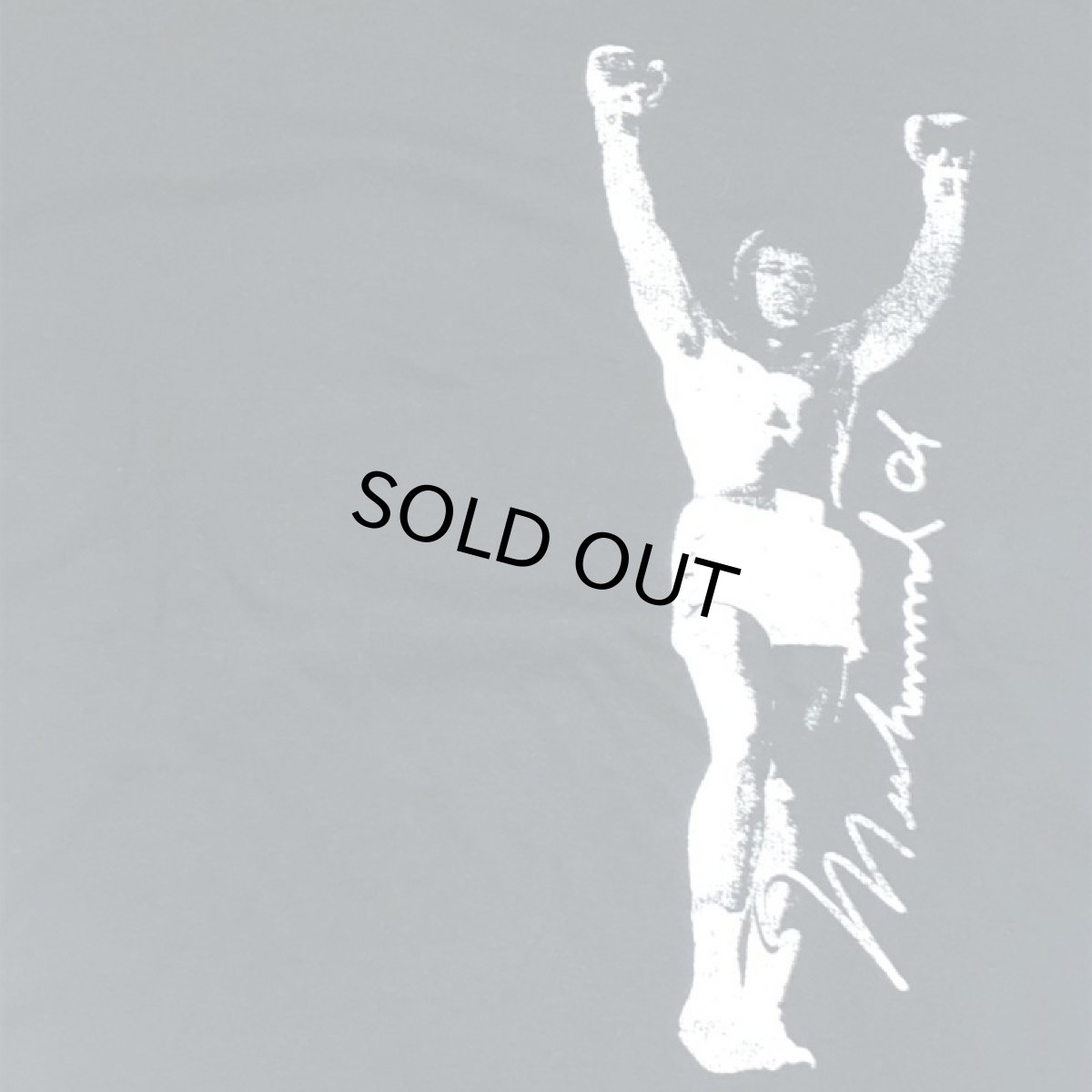 画像3: TAILGATE テイルゲート ALI CHAMP Tシャツ  DARK STORM メンズ/レディース (3)