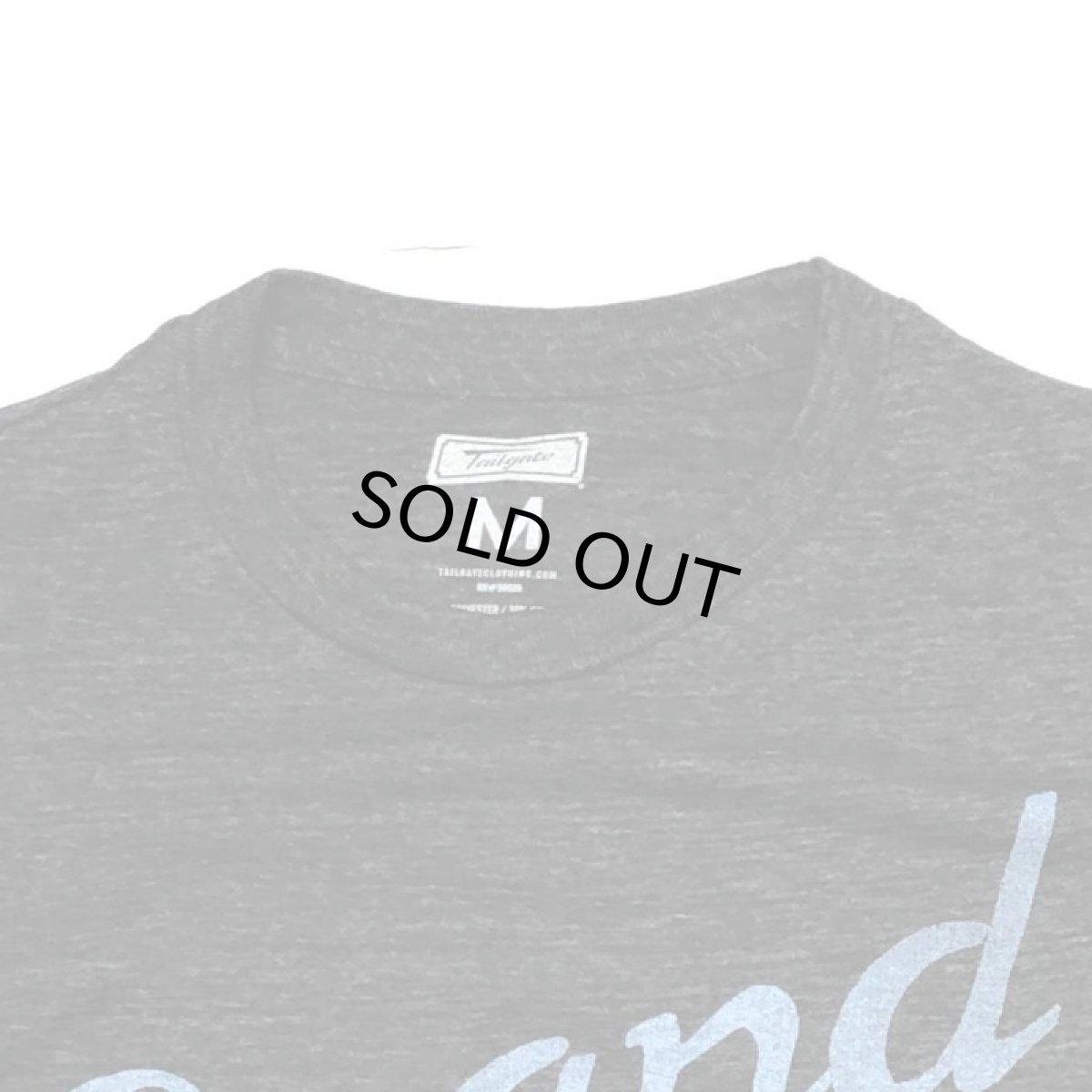 画像2: TAILGATE テイルゲート GRAND TETON  Tシャツ  BLACK HEATHER メンズ/レディース (2)