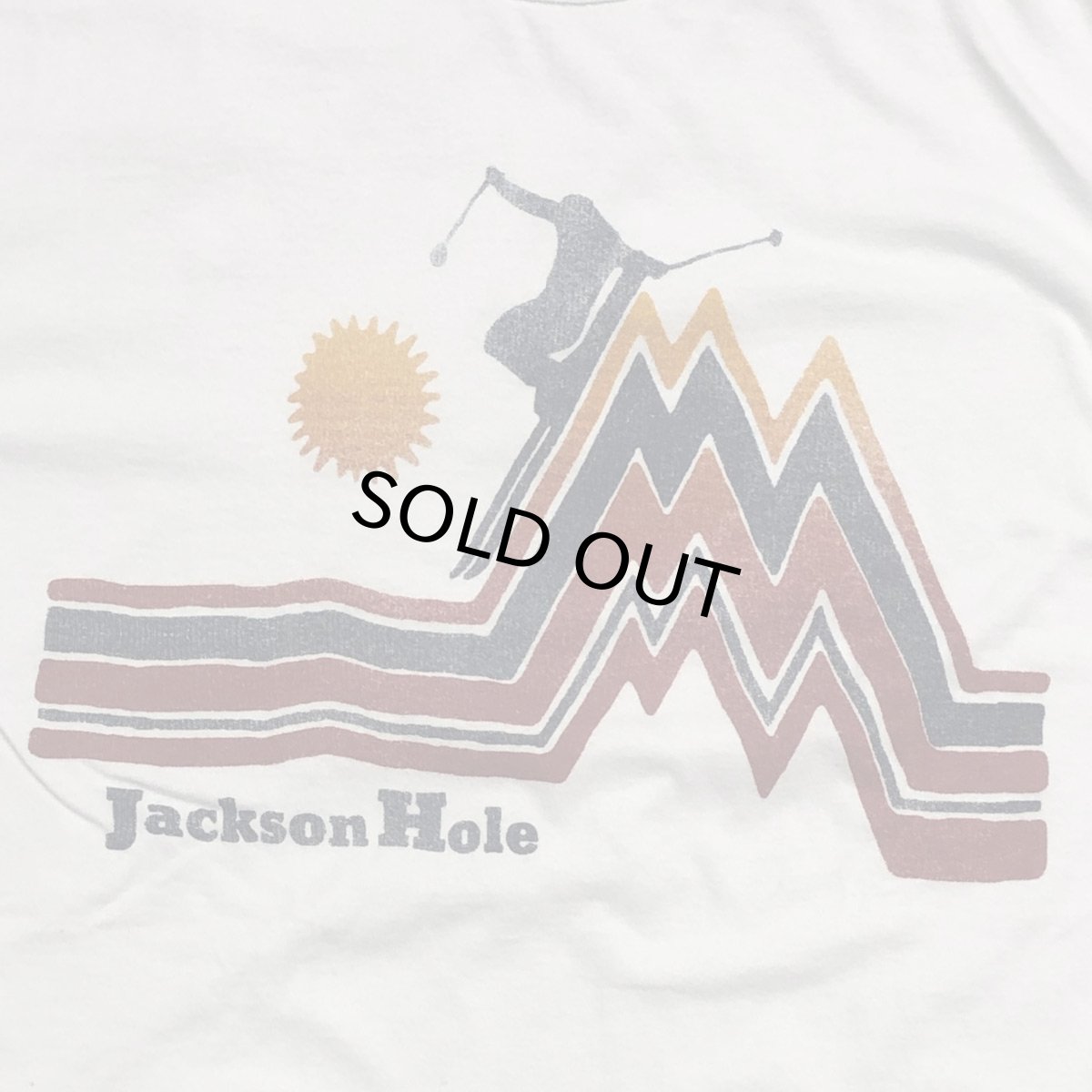 画像3: TAILGATE テイルゲートTシャツ  JACSON HOLE TEE ICE BLUE メンズ /レディス (3)