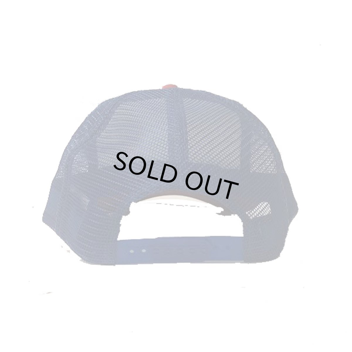 画像3: TRUKER HAT USA メッシュCAP HOLLY MANIFOLDS REDXWHTXRYL   メンズ/レディース (3)