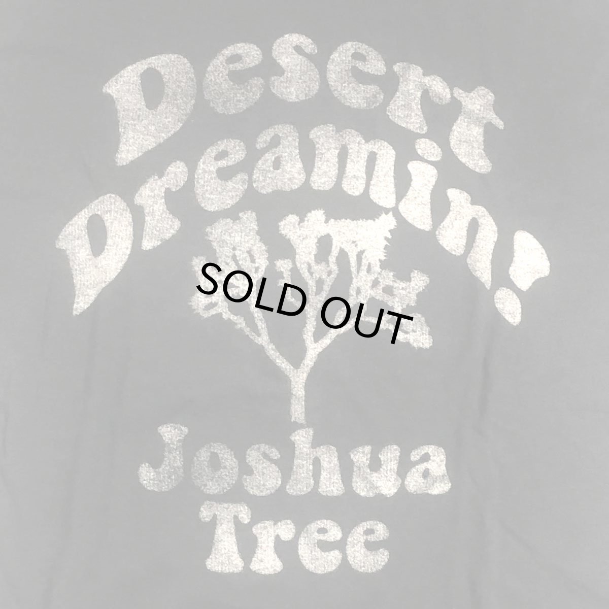 画像3: TAILGATE テイルゲート DESERT DREAMIN Tシャツ  DARK STORM メンズ/レディース (3)