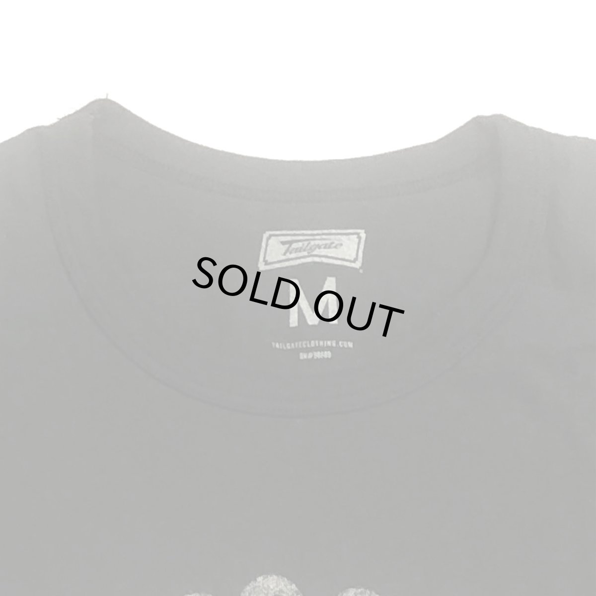 画像2: TAILGATE テイルゲート DESERT DREAMIN Tシャツ  DARK STORM メンズ/レディース (2)