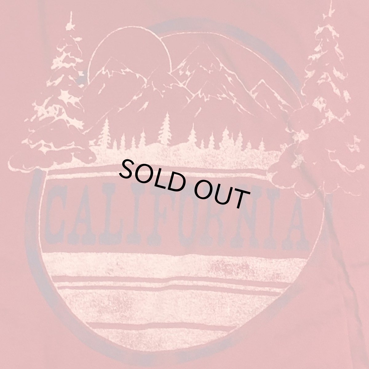 画像3: TAILGATE テイルゲートTシャツ  CALIFORNIA  TEE FADED RED  メンズ レディス (3)