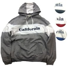 画像1: BACK HEAD バックヘッド PANEL PT  HOODIE CALIFORNIA  4色 メンズ/レディース (1)