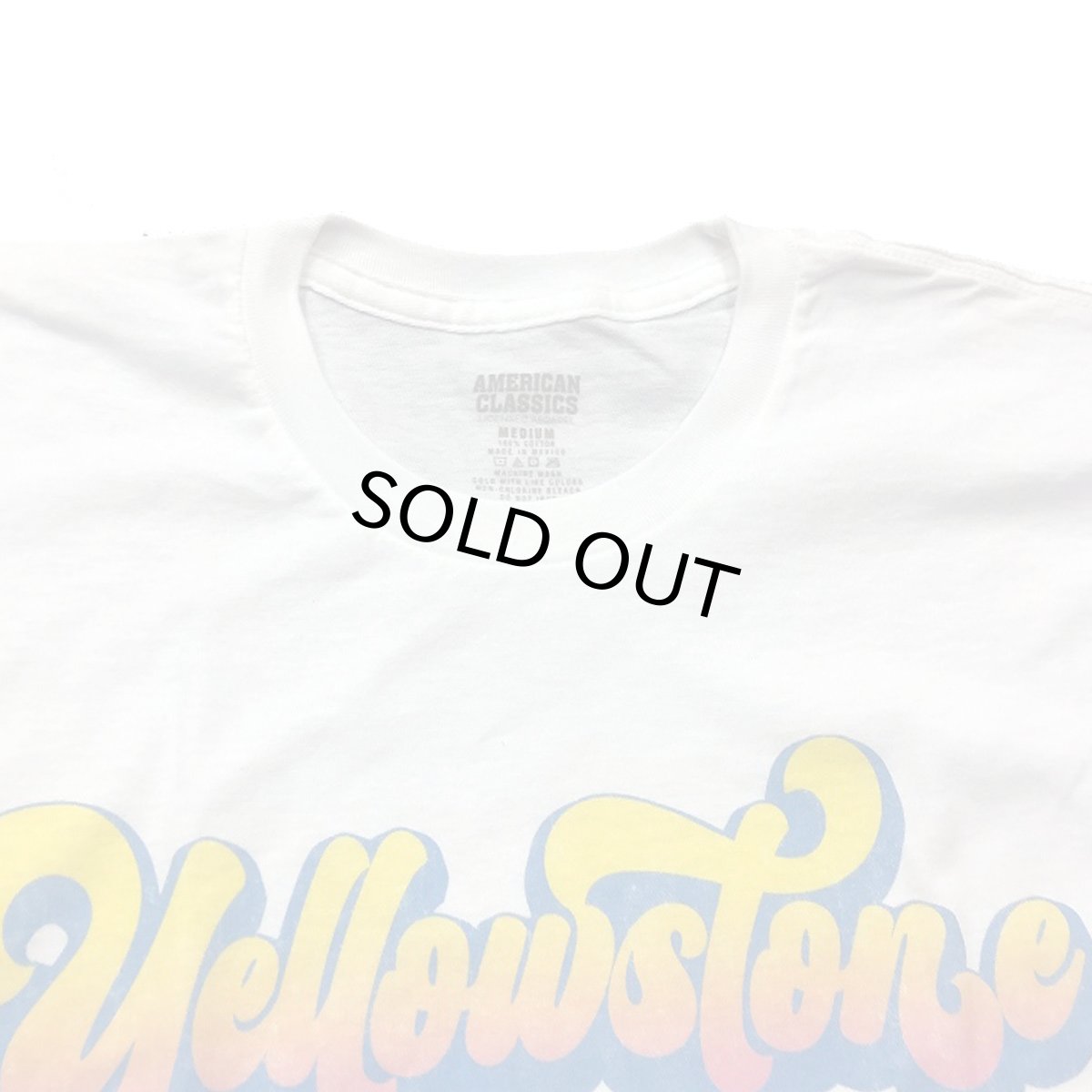 画像3: AMERICAN CLASSICS アメリカンクラシックス TEE YELLOWSTONE NATIONAL PARK イエローストーン WHT メンズ/レディース (3)