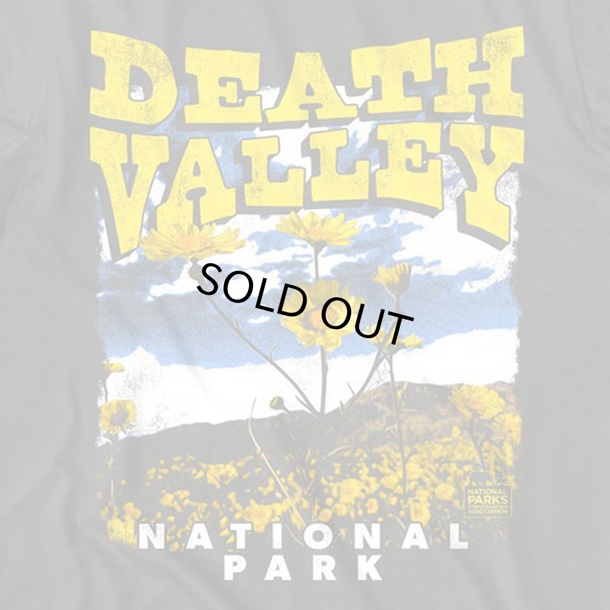 画像2: AMERICAN CLASSICS　NATIONAL PARKS ナショナルパーク DEATH VALLEY デスヴァレー国立公園　BLK メンズ/レディース (2)