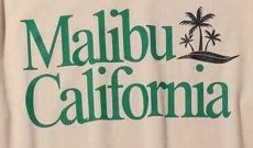 画像4: BACK HEAD バックヘッド PIGMENT DYEプリント-Tシャツ　MALIBU CARI  BLK/NVY/NAT　全3色 メンズ/レディース (4)