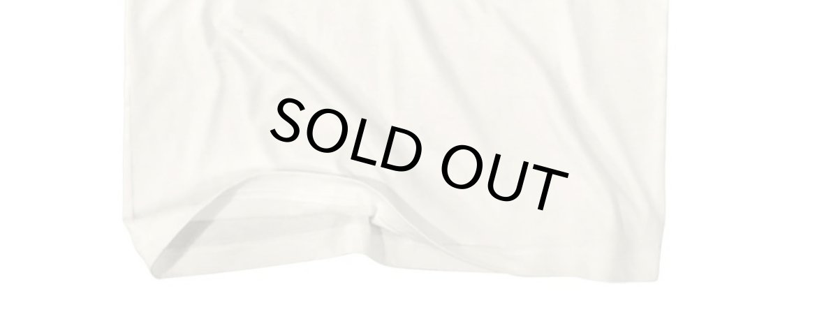 画像4: AMERICAN CLASSICS　ナショナルパークYOSEMITE プリント TEE  WHITE  メンズ/レディース (4)