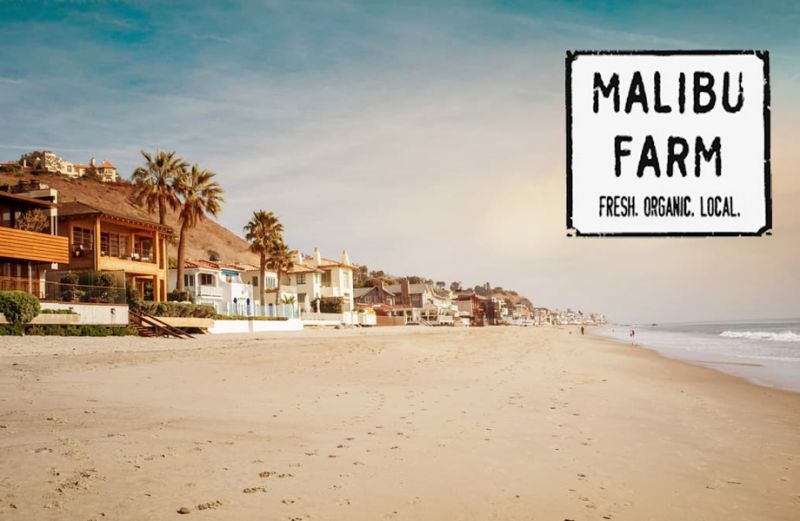 MALIBU FARM,マリブファーム