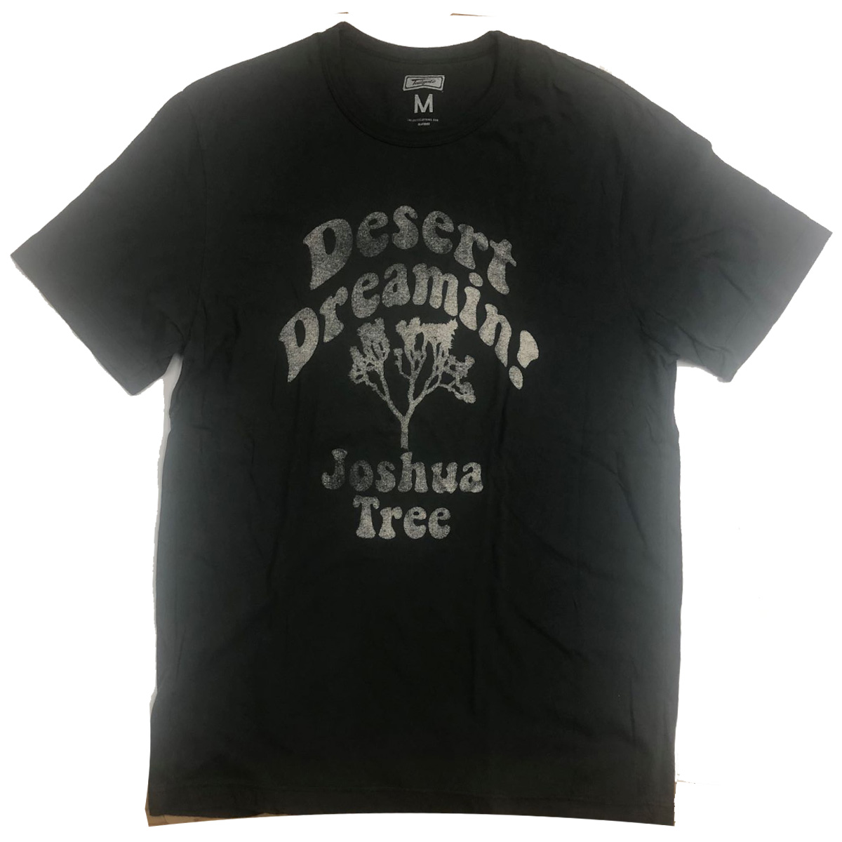画像1: TAILGATE テイルゲート DESERT DREAMIN Tシャツ  DARK STORM メンズ/レディース (1)